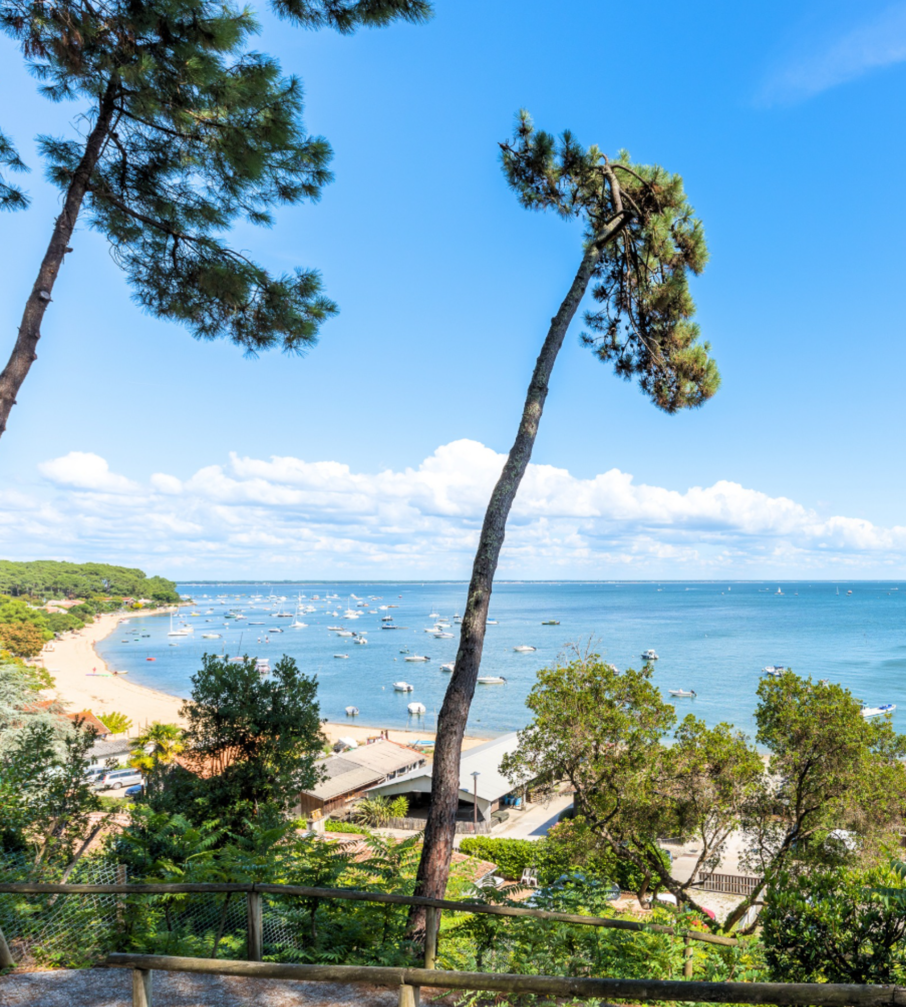 Bassin d'Arcachon